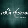 Perum Puragena Aa Sansare (Cover) mp3 Download
