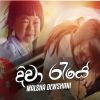 Diwa Raye mp3 Download