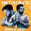 Nethu Rata mp3 Download