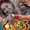 Raajini Teledrama