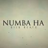 Numba Ha mp3 Download