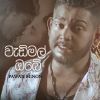 Wadimal Obe Hithata mp3 Download