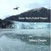 Snow Bird Felted piano mp3 Download