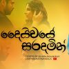 Daiwaye Saradamin ( Cover By Ishara Akalanka) mp3 Download