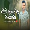 Oba Noena Karane (Cover) mp3 Download