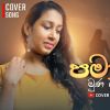 Pamawela Muna Gahunu Nisa (Cover) mp3 Download