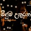 Meeduma Uthurana Sandapane mp3 Download