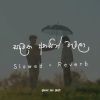 Sandawatha Ahasin Watila (Slowed and Reverb) mp3 Download
