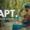 APT. (Parody Song) mp3 Download