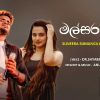 Malsara Heesara mp3 Download