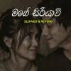 Siriyavi (Slowed & Reverb) mp3 Download
