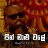 Pin Malu Wale (Sanuhare) mp3 Download