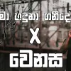 Ma Haduna Ganido × Wenasa mp3 Download