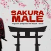 Sakura Male (Hazitha Remix) Organic Progressive House mp3 Download