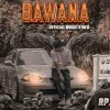 Bawana mp3 Download