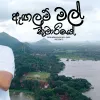 Angalum Mal Kumariye mp3 Download
