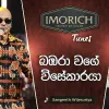 Bambara Wage Visekaraya (Imorich Tunes) mp3 Download