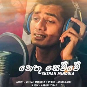 Nethu Sewwa mp3 Download