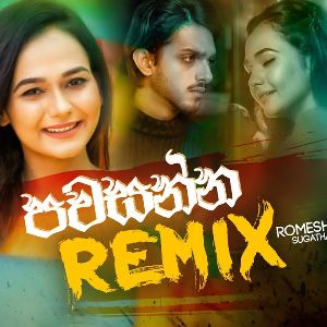 Pawasanna (Remix) mp3 Download