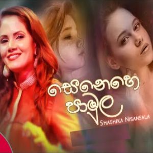 Senehe Pamula mp3 Download