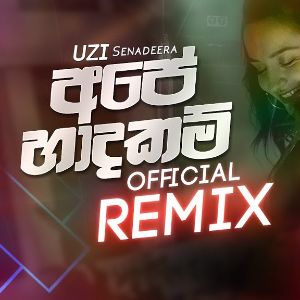 Ape Hadhakam (OFFICIAL REMIX) mp3 Download