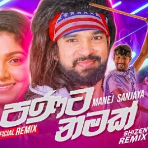 Panata Namak (Remix) mp3 Download