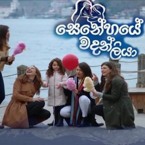 Senehaye Wadan Liya mp3 Download