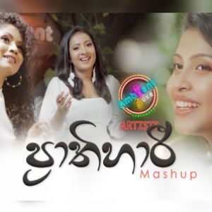 Prathihari ( Mashup ) mp3 Download