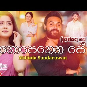 Nopenena Se Randi (Ansathu Oba Tharam Male Version) mp3 Download