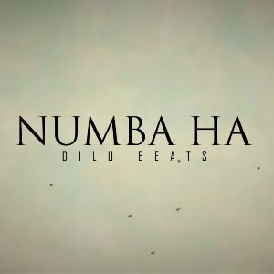 Numba Ha (mage hitha hari kalabala) mp3 Download
