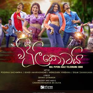 Viduli Kotai ( Mal Pipena Kale Teledrama ) mp3 Download