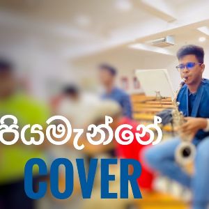 Piyamanne ( Instrumental Cover ) mp3 Download