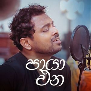 Paya Ena Sandawatha ( Plain Tea Yai Sindu Dekai ) mp3 Download