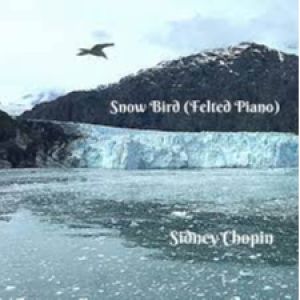 Snow Bird Felted piano mp3 Download