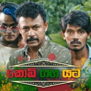 Chooti Kale Api ( Ayiyo Hina Yanawane ) mp3 Download