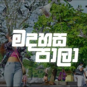 Madahasa paala mp3 Download