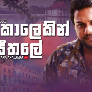 Digu Kalekin Seethale (Cover) mp3 Download