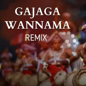 Gajaga Wannama (Remix) mp3 Download