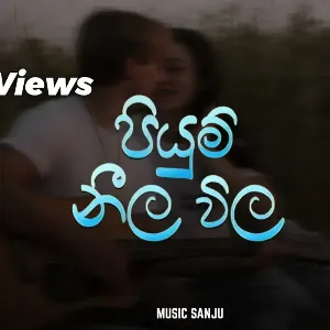 Piyum Neela Wila (slowed + reverb) 2025 mp3 Download