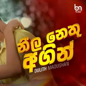 Neela Nethu Agin mp3 Download