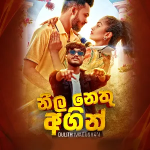 Neela Nethu Agin mp3 Download