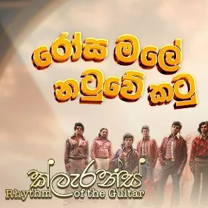 Rosa Male Natuwe Katu (2025 Remake) mp3 Download