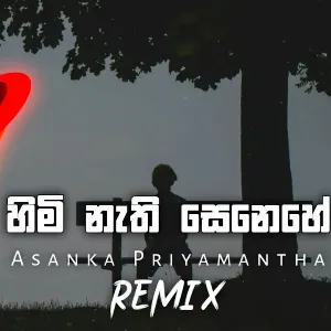 Himi Nathi Senehe (Remix) mp3 Download