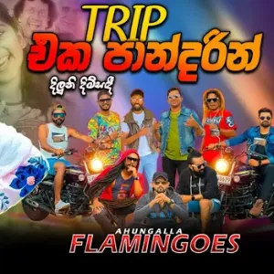 Trip Eka Pandarin mp3 Download
