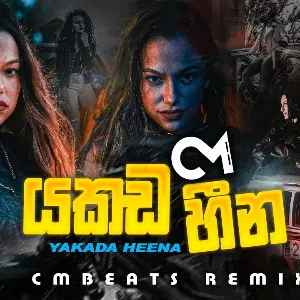 Yakada Heena (Remix) mp3 Download