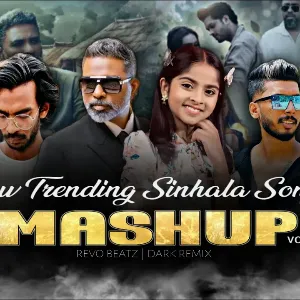 Hits Of 2025 | New Trending Songs | Sinhala Mashup (Vol 02) mp3 Download