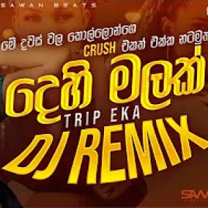 Dehi Malak (Trip Eka) Mashup DJ REMIX mp3 Download