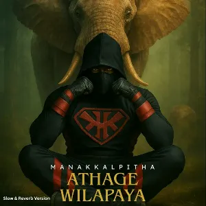 Athage Wilapaya (Slow & Reverb Version) mp3 Download