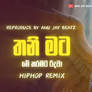 Thani Mata Me Tharamata Ridawa (HipHop ReMix) mp3 Download