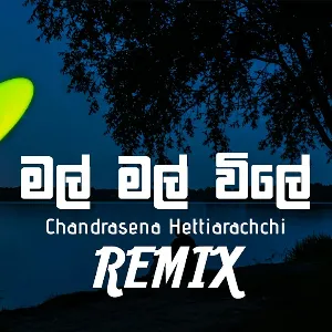 Mal Mal Wile (Remix) mp3 Download